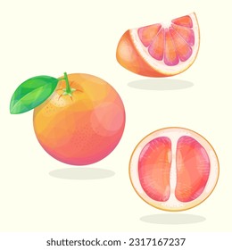 Grapefruit whole, cut and slice set. Isolated on white background.