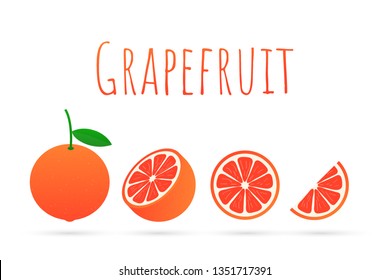 Grapefruit. A whole grapefruit and a cut.  Vector stock illustration.