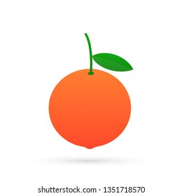 Grapefruit. Todo un pomelo y un corte. Ilustración de material vectorial.