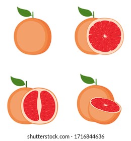 Grapefruit, whole fruit, half, slice, vector illustration