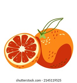 Grapefruit whole and half. Healthy citrus fruits. Vector illustration in hand-drawn style isolated on a white background