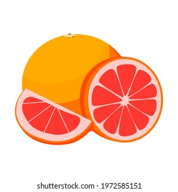 grapefruit, whole round and half grapefruit. vector isolated on a white background