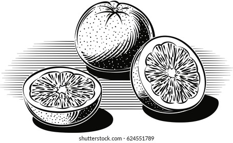 Grapefruits, two cut in half on a white background.