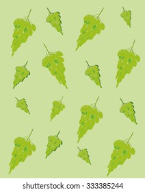 Grapes