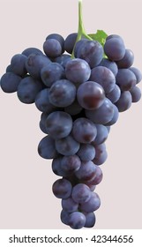 Grapes