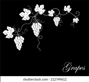 Grapes abstract background