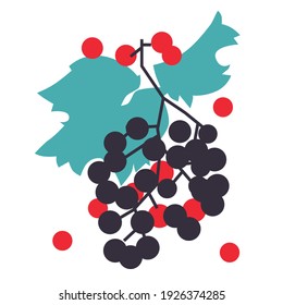 Grapes abstract modern illustration. Fruits flat print. Grapes hand drawing vector illustration. 