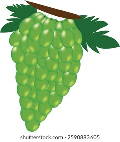 grapes adobe illustrator image grape icon juicy grapes