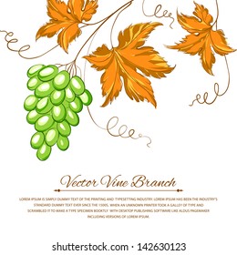 Grapes with autumn leaves around the grapes. Vector illustration.