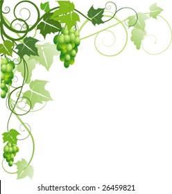 Grapes background