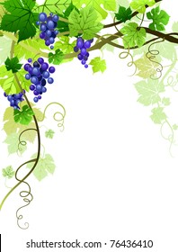 Grapes background