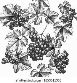 Grapes background. Seamless pattern of grapes. Bunch of grapes with leaves. Vintage engraving color stylized drawing. Vector illustration