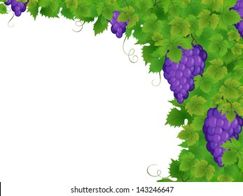 Grapes background with a space for your text 