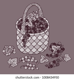 Grapes in basket. Cartoon vector hand drawn abstract illustration
