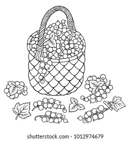 Grapes in basket. Cartoon vector hand drawn abstract illustration