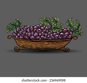 Grapes basket hand drawn and paint vector