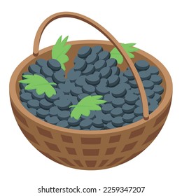 Grapes basket icon isometric vector. Winery grapes. Bar alcohol