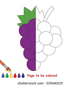 Grapes to be colored, the coloring book to educate preschool kids with easy kid educational gaming and primary education of simple game level. The colorless half.
