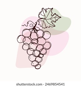 grapes berries with leaves  vector illustration