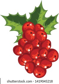 Grapes / Berry collection with green leaves