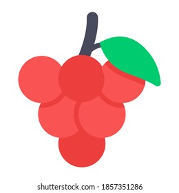 Uvas, bayas botánicas, frutos de forma plana mejor para una dieta nutritiva 