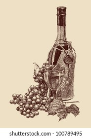 grapes with a bottle of wine drawing vector illustration