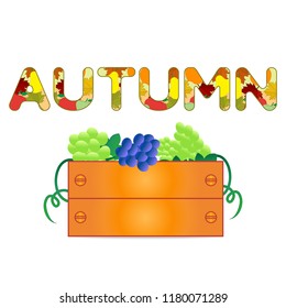 Grapes in boxes. Raw materials for wine and juice production. Design for announcement, advertisement, print.