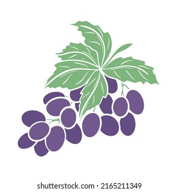 Grapes branch isolated vector illustration. Purple grape leaves clipart. Simple berry bunch with foliage. Healthy organic food. Wine material for beverage production