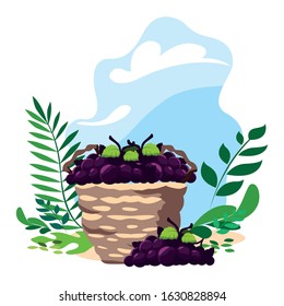 grapes with branch in wicker basket with background landscape vector illustration design