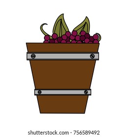 Grapes in bucket