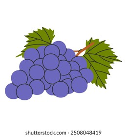 Grapes bunch. Berries cluster growing on branch, icon. Fresh ripe fruits on sprig. Healthy sweet vitamin eating, organic food. Flat graphic vector illustration isolated on white background