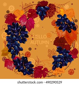 Grapes. Bunch of grapes. Frame and a wreath of vine and grapes. vector illustration. Background. design elements. Hello Autumn!