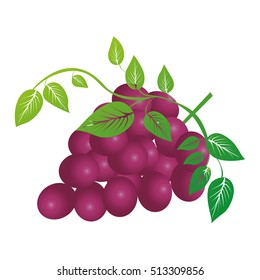 grapes bunch icon image
