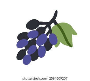 Grapes bunch with leaf. Fresh ripe berries cluster, healthy natural vitamin nutrition, food. Fruits growing on branch, twig. Flat graphic vector illustration isolated on white background