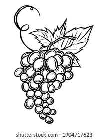 Grapes bunch with leaves, monochrome, vector