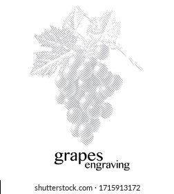 Cintas de uvas con hojas vectoriales que graban ilustración.