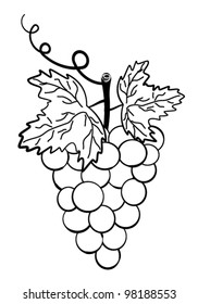 Grapes. Bunch of grapes on a white background.