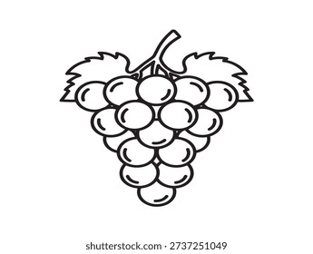 Grapes bundle 2D vector line art for a stunning and fruitful design