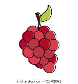 grapes bundle fruit icon image 