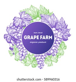 Grapes card design template. Hand drawn vector illustration. Wine shop and grapes farm design.