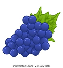 Grapes Cartoon Drawing Illustration Vector