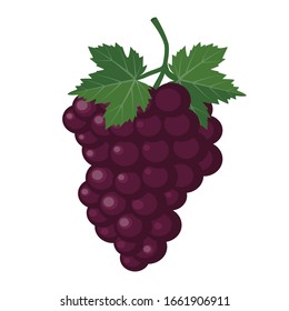 Grapes cartoon icon. Vector illustration flat design style. Isolated on white background. Grape of fresh, sweet, ripe with a green leaf. Can be used as logo, logo, web print, sticker.