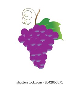 grapes clip art vector design