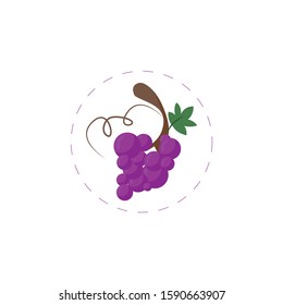 grapes clipart flat illustration on white background. grapes clipart flat illustration on white background. grapes clipart flat illustration on white background. 