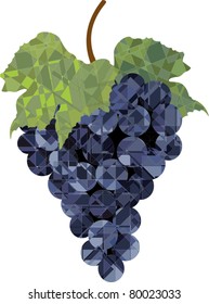Grapes cluster