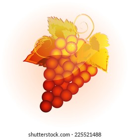 grapes cluster in gold
