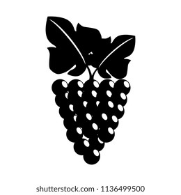 grapes cluster isolated icon