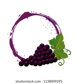 grapes cluster isolated icon