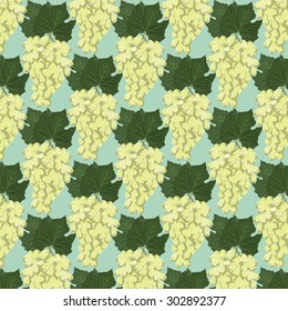 Grapes clusters pattern. Vector