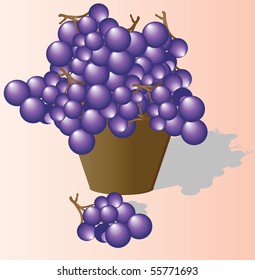 The grapes collected in ware. Vector illustration.